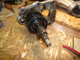 13. Intermediate housing and mainshaft removed.jpg